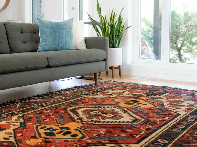 Patterned area rug in a bright living room